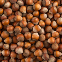 ECO RESOURCE Hazelnut - Nuts-spices-herbs