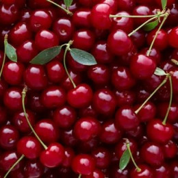 ECO RESOURCE Натуральный порошок вишни – для производства продуктов здорового питания