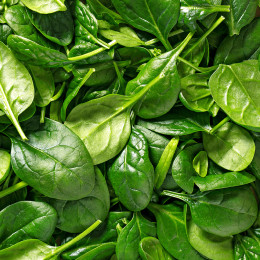 ECO RESOURCE Green ECOPLANT - Healthy food 