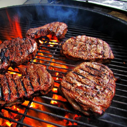 ECO RESOURCE Grilled meat - Gastronomic
