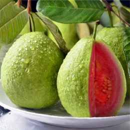ECO RESOURCE Guava - Exotic fruits