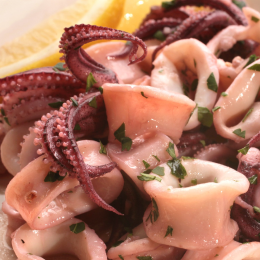ECO RESOURCE Squid - Seafood