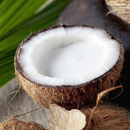 ECO RESOURCE Coconut - Exotic fruits