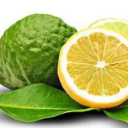 ეკო რესურსი Вкус лимона с бергамотом  – натуральный ароматизатор