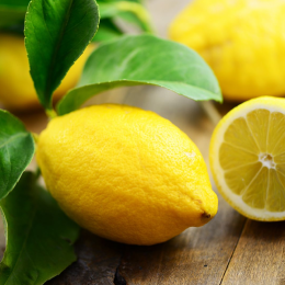 ECO RESOURCE Lemon - Citrus Fruits