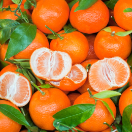 ECO RESOURCE Mandarin - Citrus Fruits