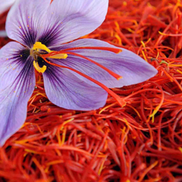 ECO RESOURCE Saffron - Nuts-spices-herbs