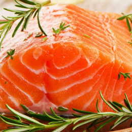 ECO RESOURCE Salmon - Seafood