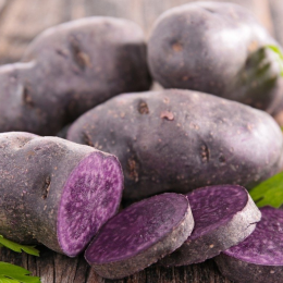 ECO RESOURCE Фиолетовый ЭКОПЛАНТ  — для плодоовощной промышленности