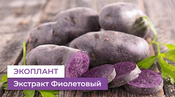 ЭКО РЕСУРС Натуральный краситель Экстракт фиолетового картофеля ЭКОПЛАНТ.